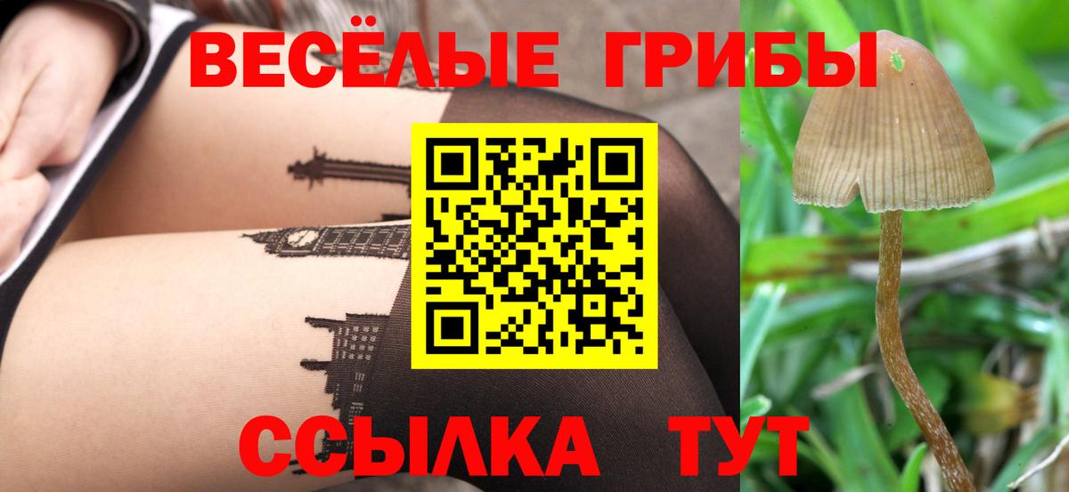 Галлюциногенные грибы Cubensis Амурск